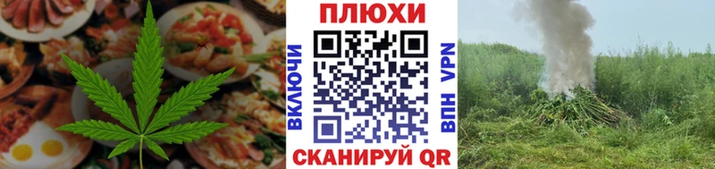 что такое наркотик  Заводоуковск  Еда ТГК марихуана 
