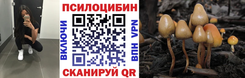 Галлюциногенные грибы GOLDEN TEACHER  Заводоуковск 